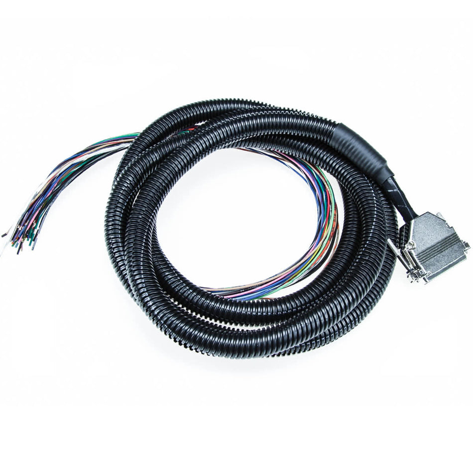 8′ Classic MegaSquirt Wiring Harness - Universal Flying Lead
