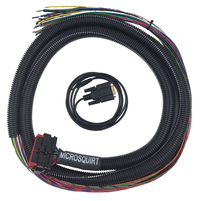 MicroSquirt Wiring Harness – Universal Flying Lead