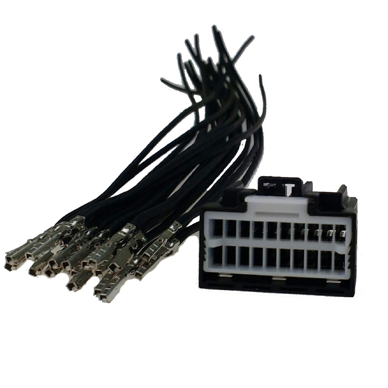 MSPNP-Pro E36 20 Pin Options Pigtail – DIYAutoTune